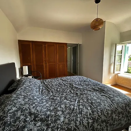 Maison Renovee Avec Jardin Et Wifi A - Fr-1-541-173 La Roche-Posay