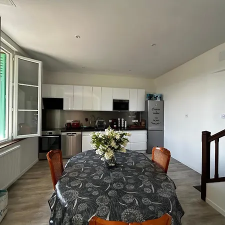 Villa Maison Renovee Avec Jardin Et Wifi A - Fr-1-541-173